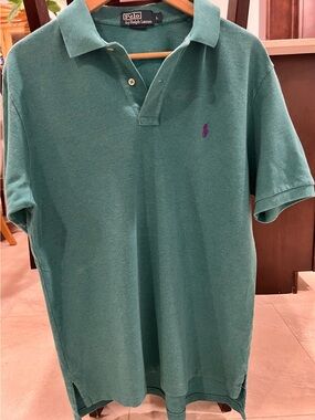 Ralph Lauren Classic Fit Polo Shirt Green Purple Pony Large Men's Short Sleeve